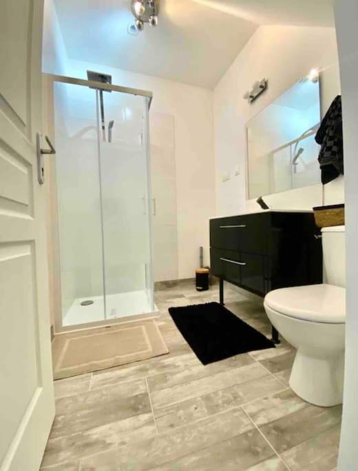 Appartement Centre Ville Saint-Amand-Mont-Rond Extérieur photo